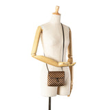 Brown Louis Vuitton Damier Sauvage Gazelle Crossbody Bag