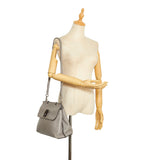 Gucci Bamboo Daily Medium Grey