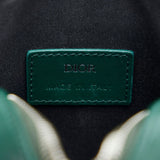 Dior World Tour Green Oblique Canvas