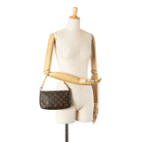 Brown Louis Vuitton Monogram Pochette Accessoires Shoulder Bag