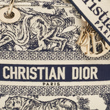 Dior Blue/blue Embroidered Canvas Medium Toile De Jouy Lady D-Lite Tote