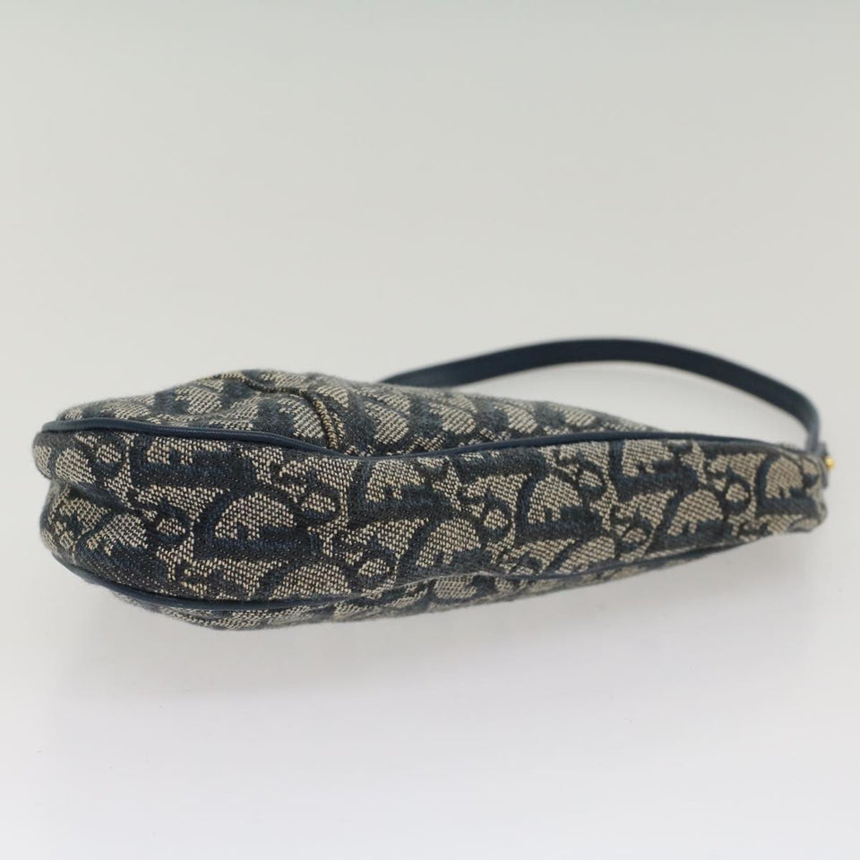 Dior Saddle  Canvas Clutch Bag