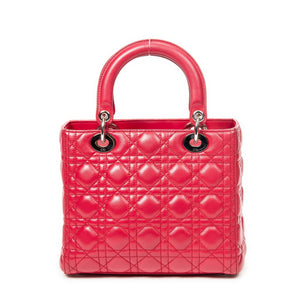 Medium Lady Dior Zip