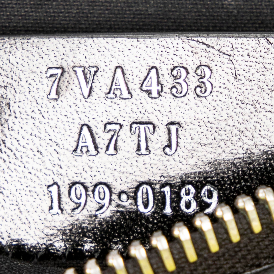 Monster Eye Document Zip Clutch