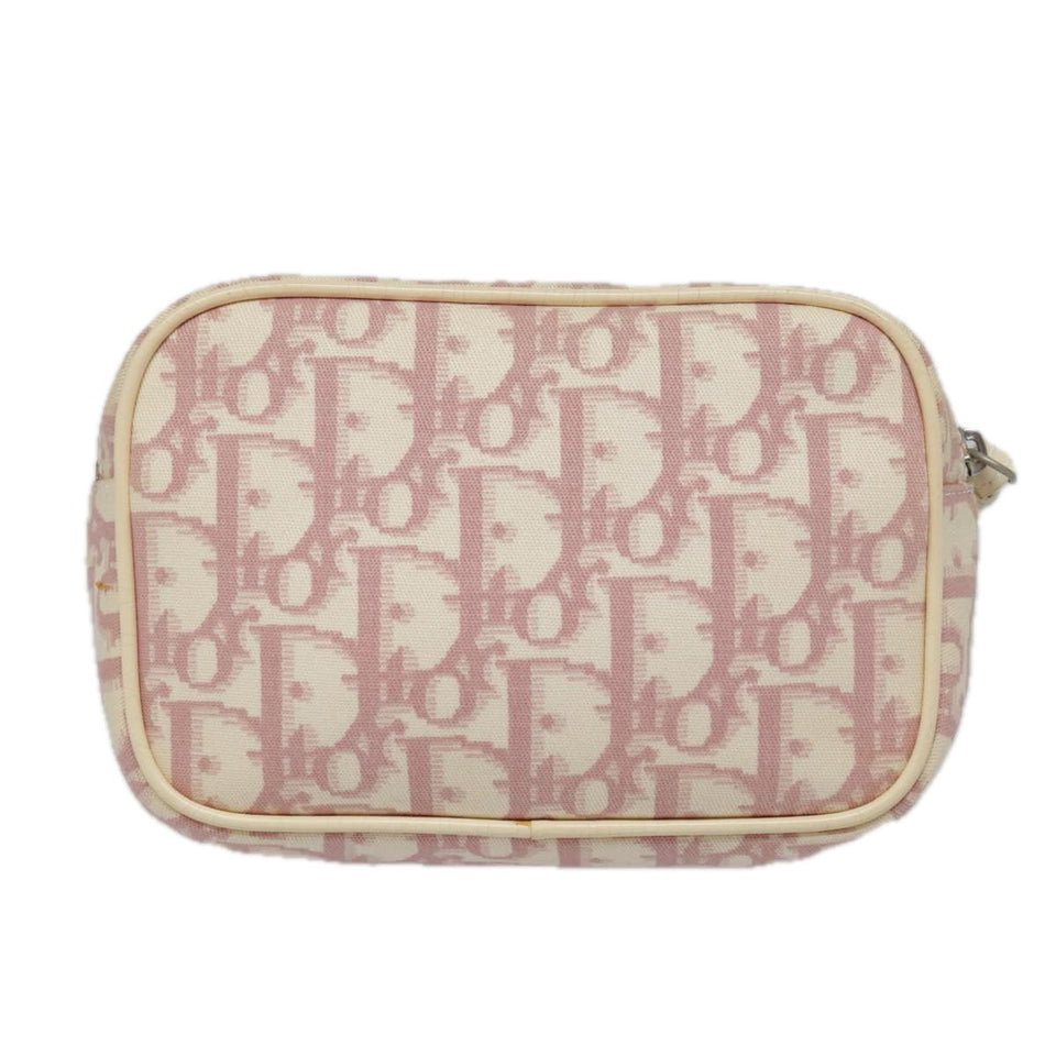 Dior Trotter  Canvas Clutch Bag