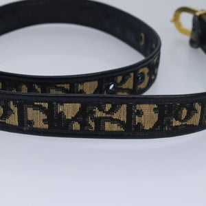 Dior  Canvas Belt