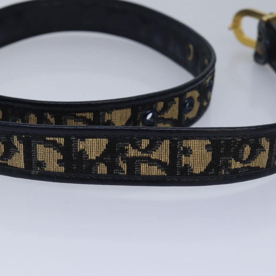 Dior  Canvas Belt