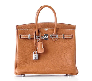 Hermes Birkin Bag 25 Coveted Gold Togo Palladium