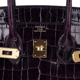 Hermes Birkin 25 Bag Aubergine Niloticus Crocodile with Gold Hardware