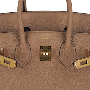 Hermes Birkin 25 Bag in Chai Togo Leather with Gold Hardware