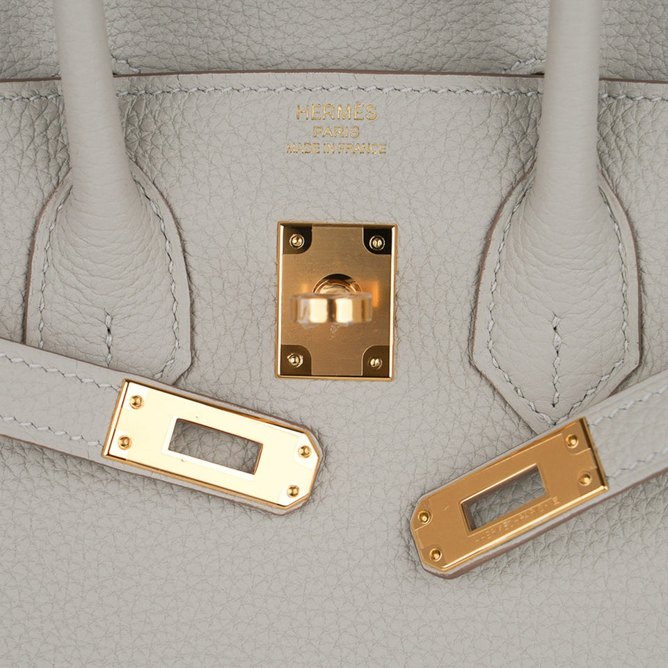 Hermes Birkin 25 Bag Gris Perle Togo Gold Hardware