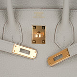 Hermes Birkin 25 Bag Gris Perle Togo Gold Hardware