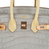 Hermes Special Order HSS Birkin 25 Bag Gris Perle & Vanille Matte Alligator with Rose Gold Hardware