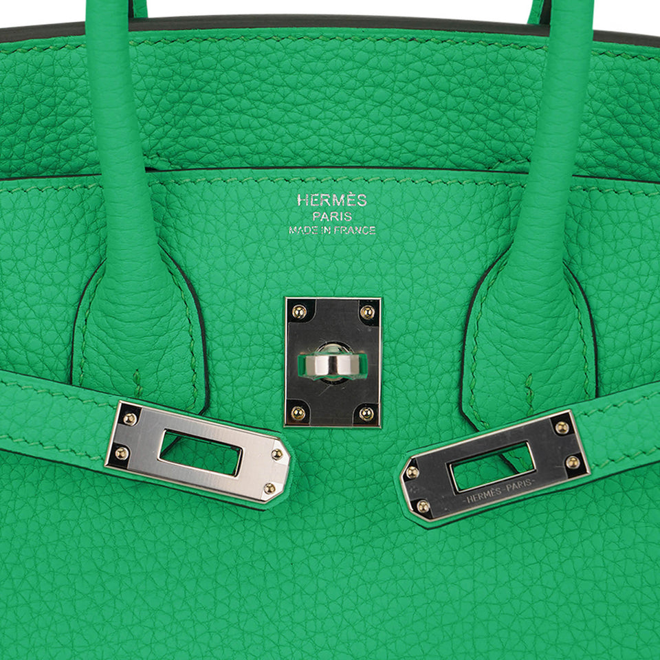 Hermes Birkin 25 Bag Vert Comics Togo Leather with Palladium Hardware