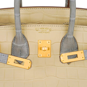 Hermes Special Order HSS Birkin 25 Bag in Matte Alligator Vanille and Gris Pearl Alligator with Brushed Gold Hardware