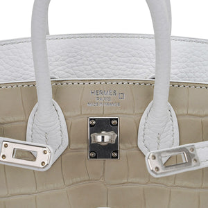 Hermes Limited Edition Birkin 20 Faubourg Sellier Bag Neige (Snow) White Matte Alligator