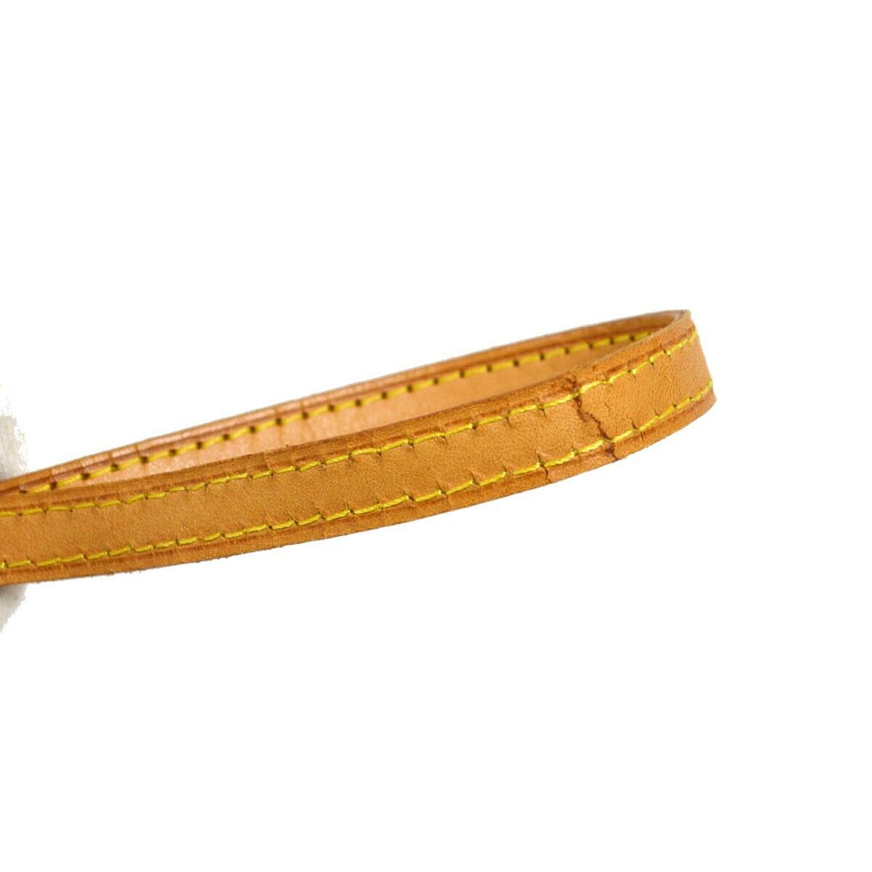 Louis Vuitton Pochette Twin Gm Crossbody