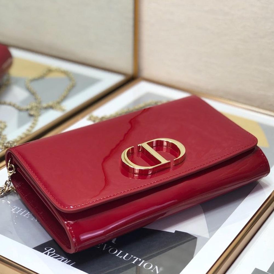 Christian Dior 30 MONTAIGNE POUCH
