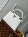 Louis Vuitton Bags