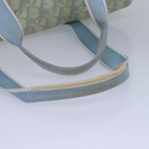 Dior Trotter  Canvas Handbag