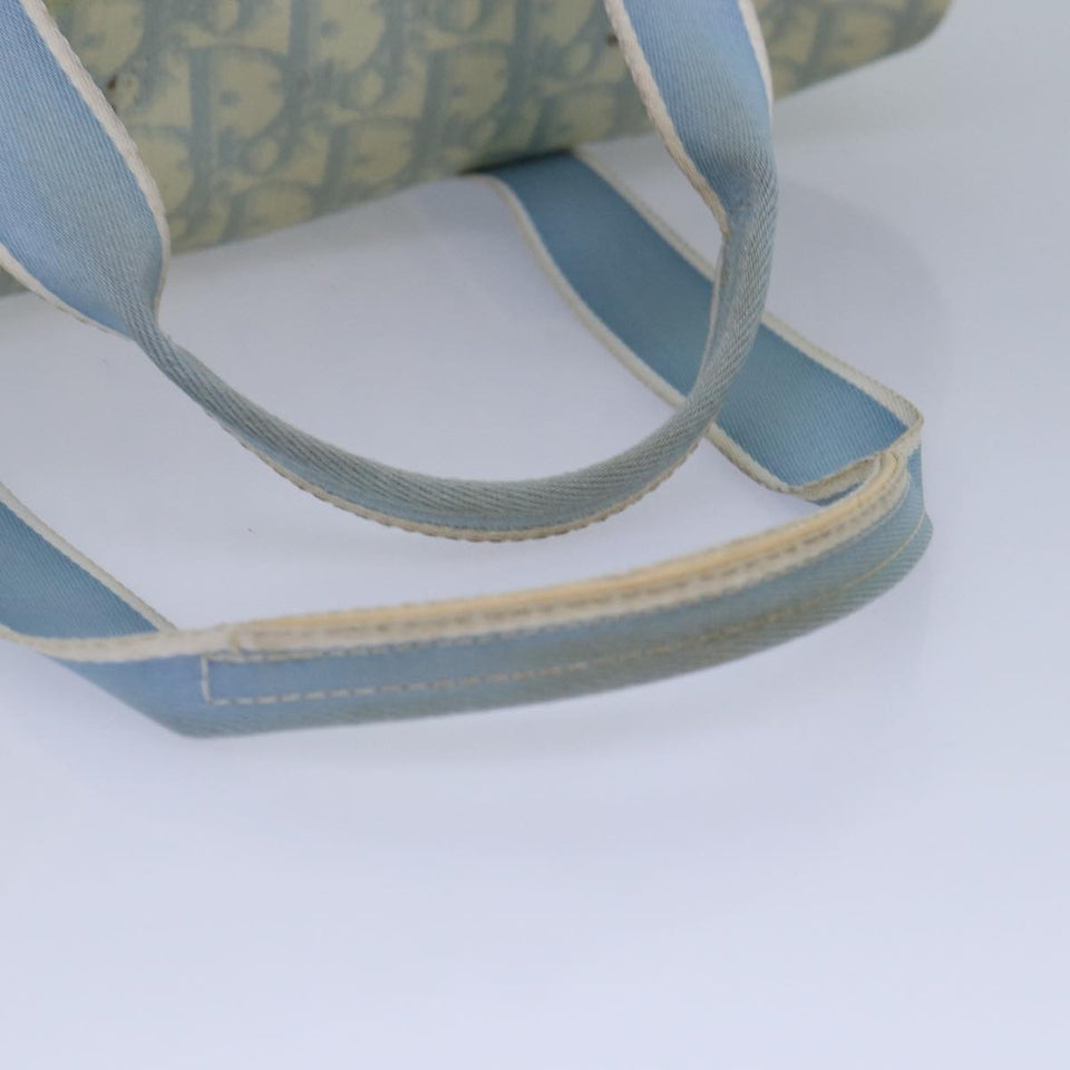 Dior Trotter  Canvas Handbag