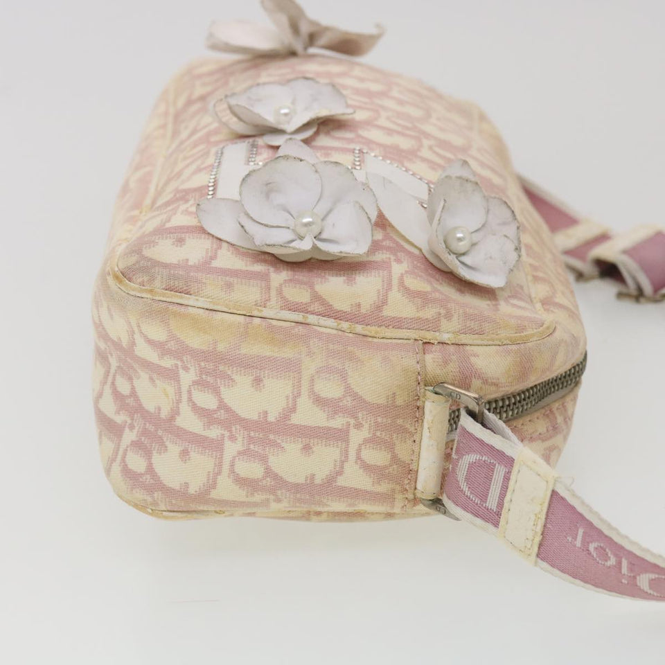 CHRISTIAN DIOR Trotter Canvas Flower Shoulder Bag Pink  bs4587