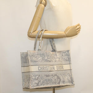 CHRISTIAN DIOR Book Tote Bag Canvas Gray M1286ZTDT_M932  bs6141