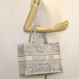 CHRISTIAN DIOR Book Tote Bag Canvas Gray M1286ZTDT_M932  bs6141