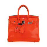 Hermes Birkin 25 Bag Orange Tangerine Lizard with Ruthenium Hardware