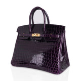 Hermes Birkin 25 Bag Aubergine Niloticus Crocodile with Gold Hardware