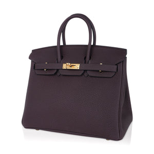 Hermes Birkin 25 Bag Chocolat Gold Hardware Togo Leather