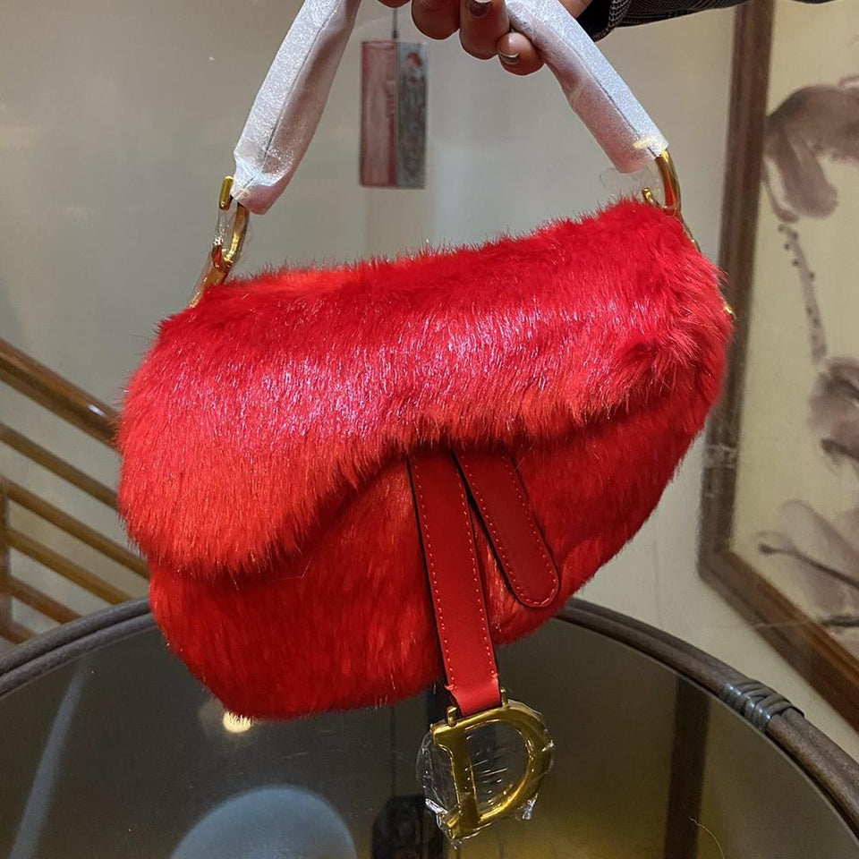 Christian Dior BAG