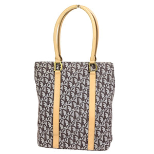 Dior Trotter  Canvas Shoulder Bag