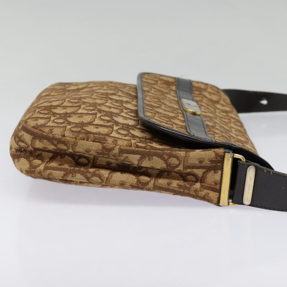 Dior  Canvas Shoulder Bag