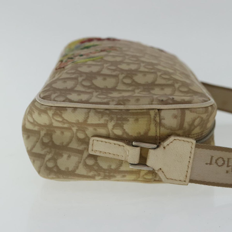 Dior Trotter  Canvas Shoulder Bag