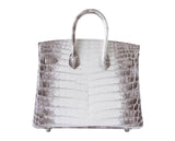 Hermes Birkin 25 Bag Blanc Himalaya Exquisite Jewel Palladium Hardware