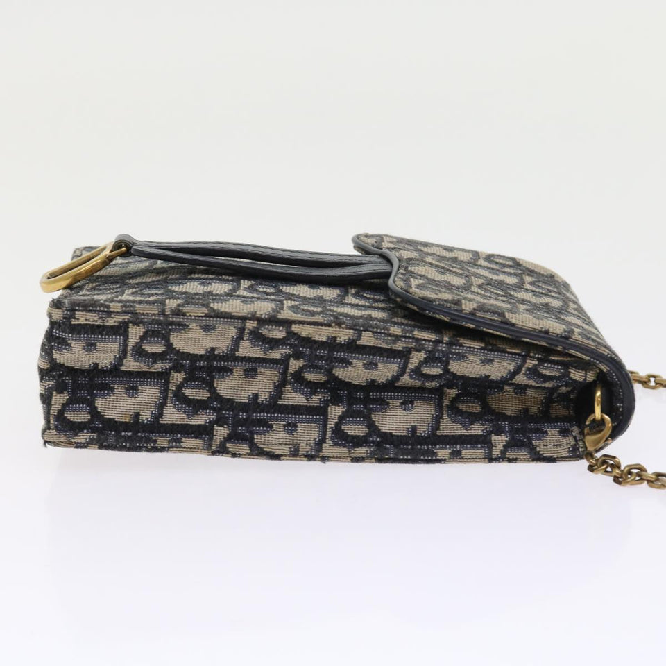 Dior Saddle  Canvas Clutch Bag