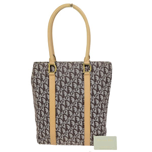 Dior Trotter  Canvas Shoulder Bag
