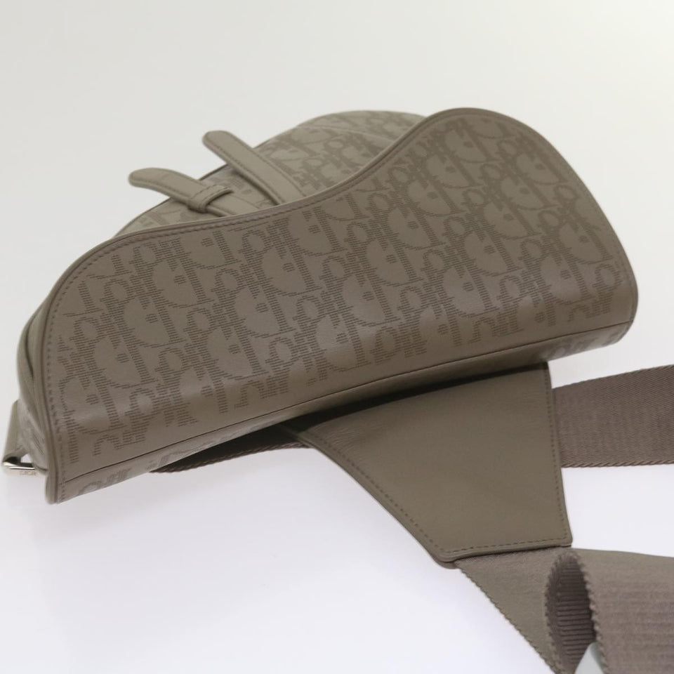 Dior Saddle  Canvas Shoulder Bag