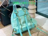 Prada Bags - The Barnes Bags  1074