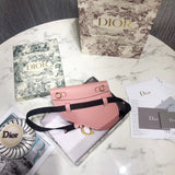 Dior Saddle Belt Bag In Powder Grained Calfskin