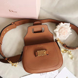 Dior D-Fence Saddle Bag In Brown Calfskin