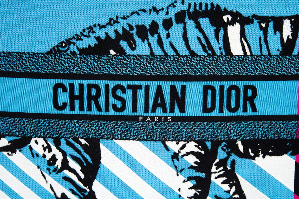 Christian Dior Pink &  Blue Zebra Printed Book Tote