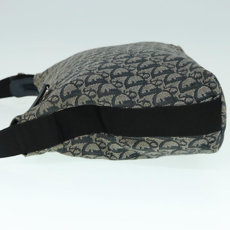 Dior  Canvas Shoulder Bag