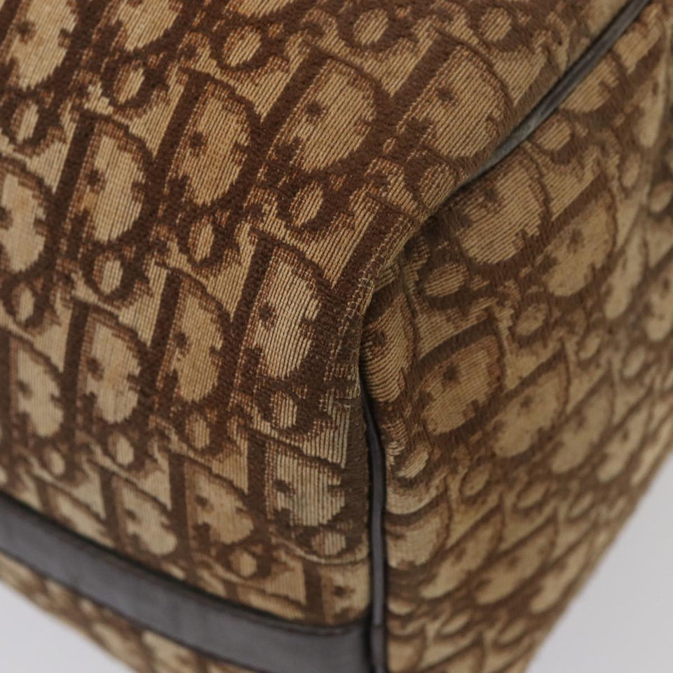 Dior Trotter  Canvas Travel Bag