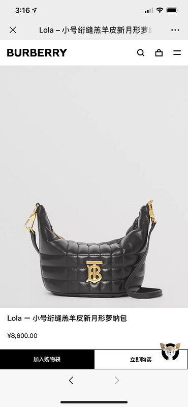 Burberry Bags - BG Bags - 926