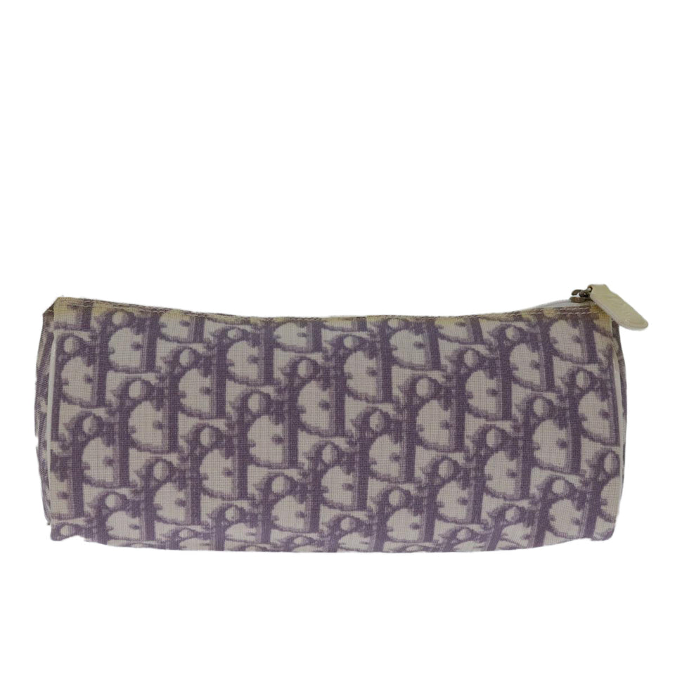 Dior Trotter  Canvas Clutch Bag