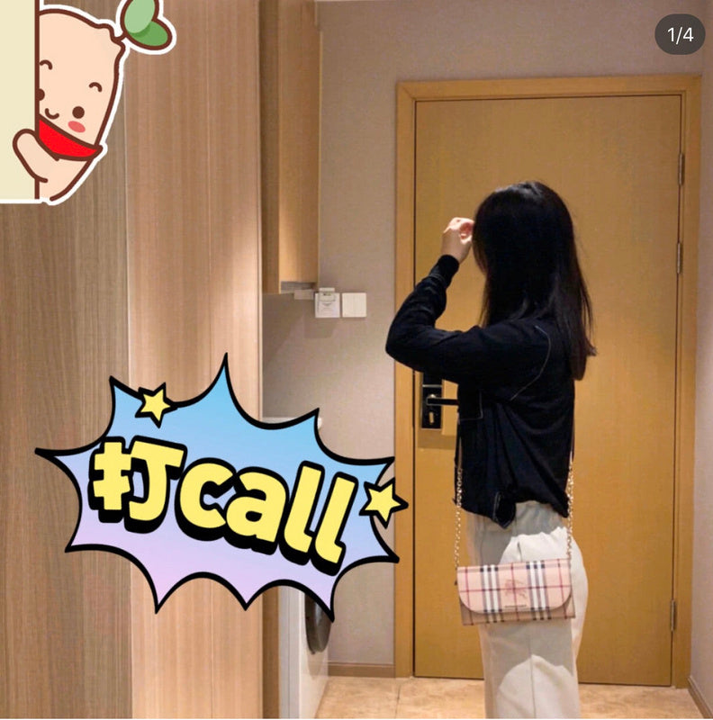 Burberry Bags - BG Bags - 1016