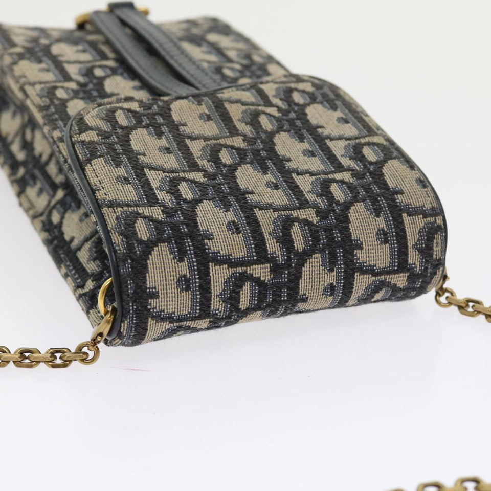 Dior Saddle  Canvas Clutch Bag