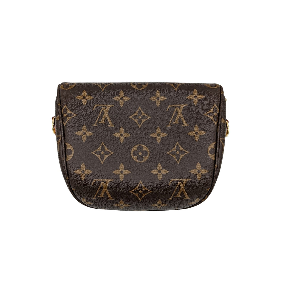Louis Vuitton Monogram Mini Bumbag Crossbody